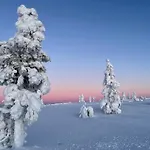 Aura Arctic - Grand Panoramic & Grand Hideaway 호텔