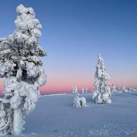 Aura Arctic - Grand Panoramic & Grand Hideaway Hotel