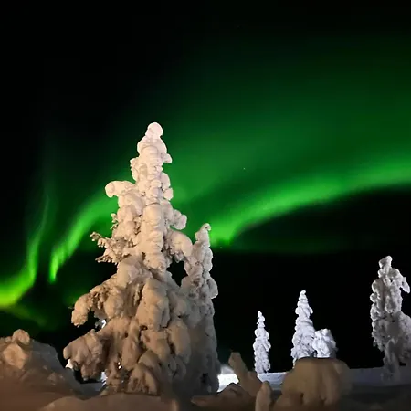 Aura Arctic - Grand Panoramic & Grand Hideaway