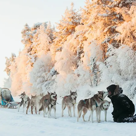 Hotel Aura Arctic - Grand Panoramic & Grand Hideaway 5*