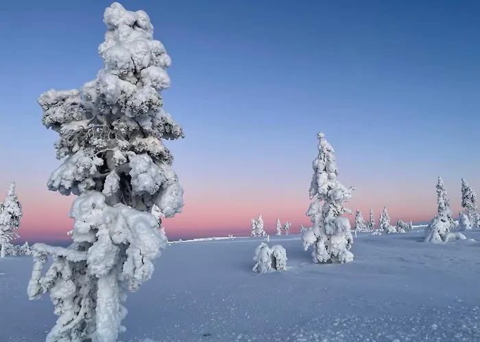 Aura Arctic - Grand Panoramic & Grand Hideaway ホテル