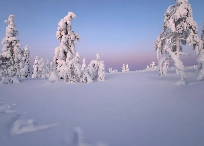 ホテル Aura Arctic - Grand Panoramic & Grand Hideaway