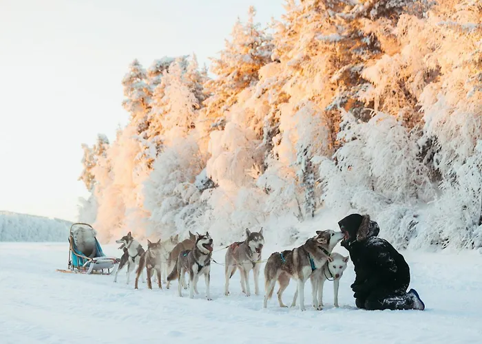 ホテル Aura Arctic - Grand Panoramic & Grand Hideaway 5*